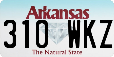 AR license plate 310WKZ