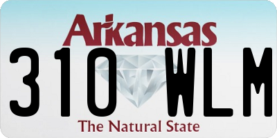 AR license plate 310WLM