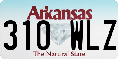 AR license plate 310WLZ