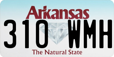 AR license plate 310WMH