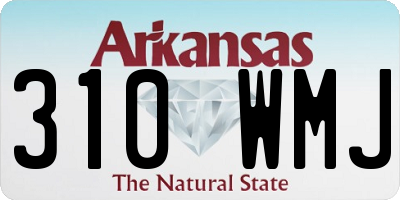 AR license plate 310WMJ