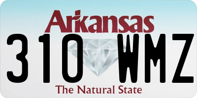 AR license plate 310WMZ