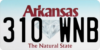 AR license plate 310WNB