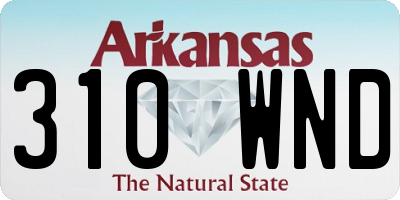 AR license plate 310WND