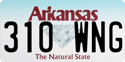 AR license plate 310WNG