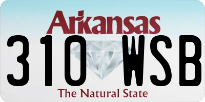 AR license plate 310WSB
