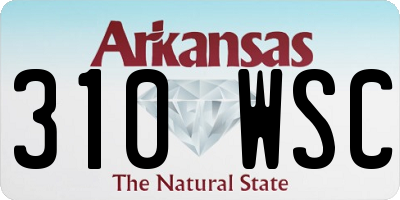 AR license plate 310WSC