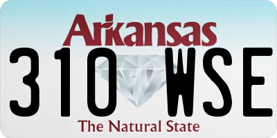 AR license plate 310WSE