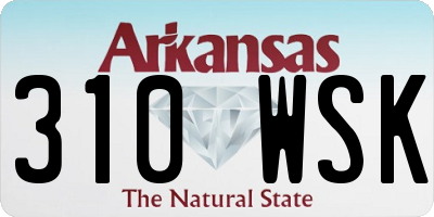 AR license plate 310WSK