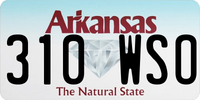 AR license plate 310WSO