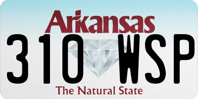 AR license plate 310WSP