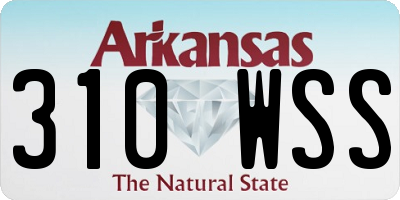 AR license plate 310WSS