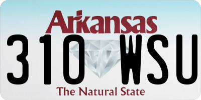 AR license plate 310WSU
