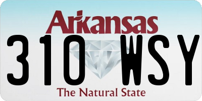 AR license plate 310WSY