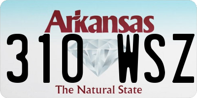 AR license plate 310WSZ