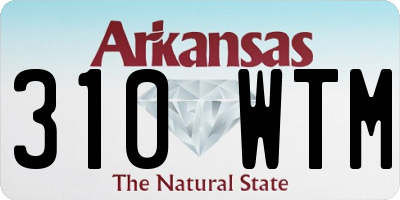 AR license plate 310WTM
