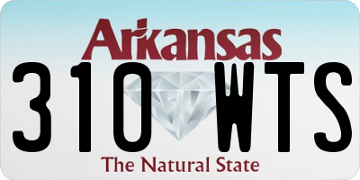 AR license plate 310WTS