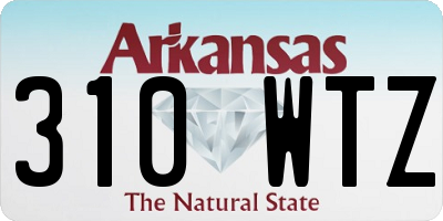 AR license plate 310WTZ