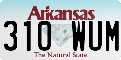 AR license plate 310WUM