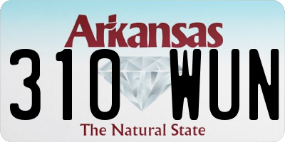 AR license plate 310WUN