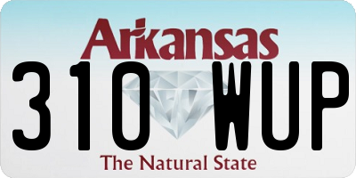 AR license plate 310WUP