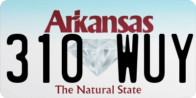 AR license plate 310WUY