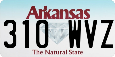 AR license plate 310WVZ