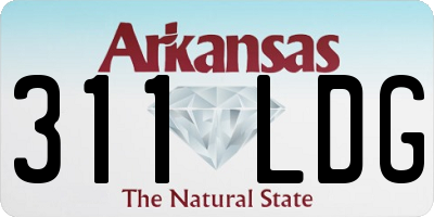 AR license plate 311LDG