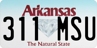 AR license plate 311MSU