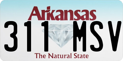 AR license plate 311MSV