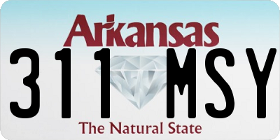 AR license plate 311MSY