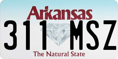 AR license plate 311MSZ