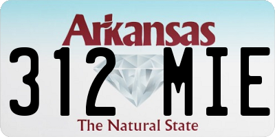 AR license plate 312MIE