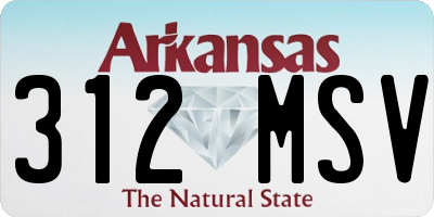AR license plate 312MSV