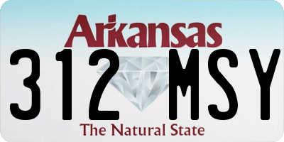 AR license plate 312MSY