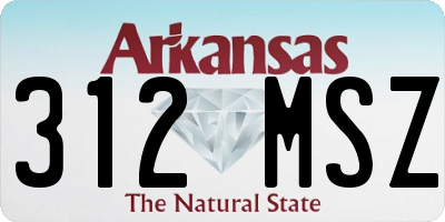 AR license plate 312MSZ