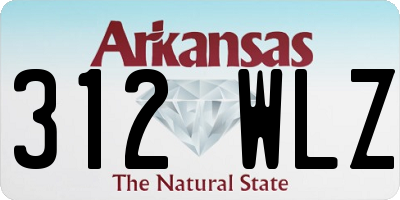 AR license plate 312WLZ