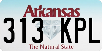 AR license plate 313KPL