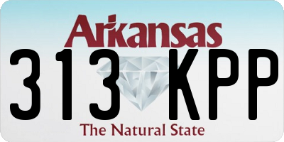 AR license plate 313KPP