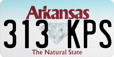 AR license plate 313KPS