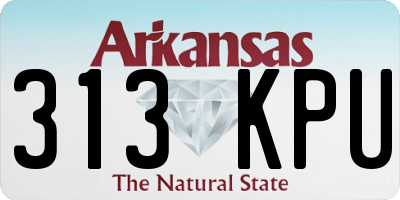 AR license plate 313KPU