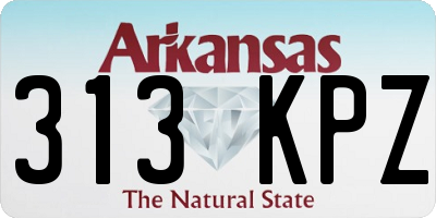 AR license plate 313KPZ