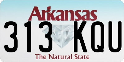 AR license plate 313KQU