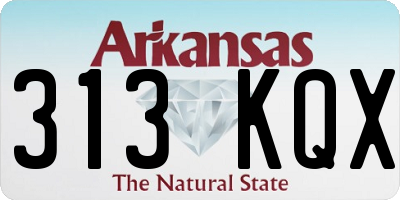 AR license plate 313KQX