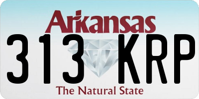 AR license plate 313KRP