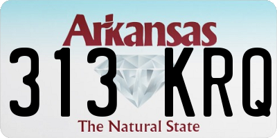 AR license plate 313KRQ
