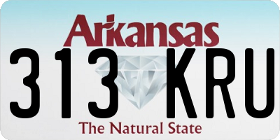 AR license plate 313KRU