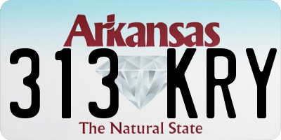 AR license plate 313KRY