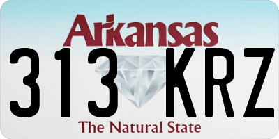 AR license plate 313KRZ