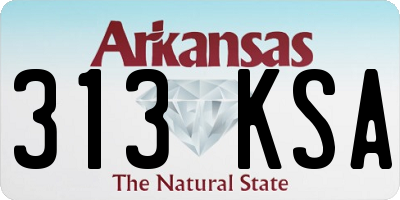 AR license plate 313KSA